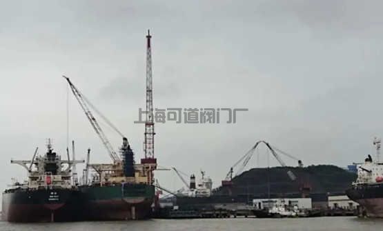 印度疫情冲击，舟山“无船可修”，损失金额达15亿元(图1)