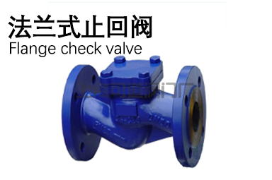 法兰式止回阀