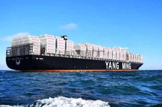 阳明海运或将于近日决定是否订造全球最大型的24000TEU集装箱船(图1)